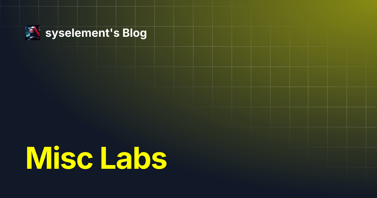 Misc Labs | syselement's Blog